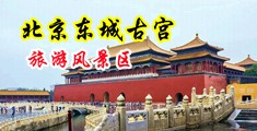 野外美女穿高跟鞋搞逼叉叉视频中国北京-东城古宫旅游风景区